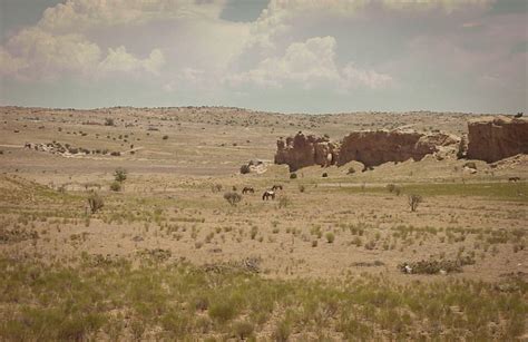 tohajiilee indian reservation.